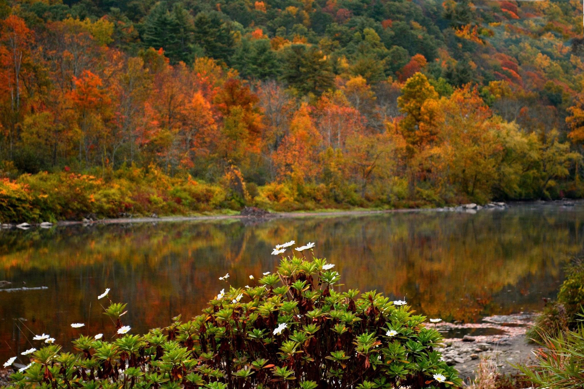 Fall Inagen Fall – Joanna Geiger Photography